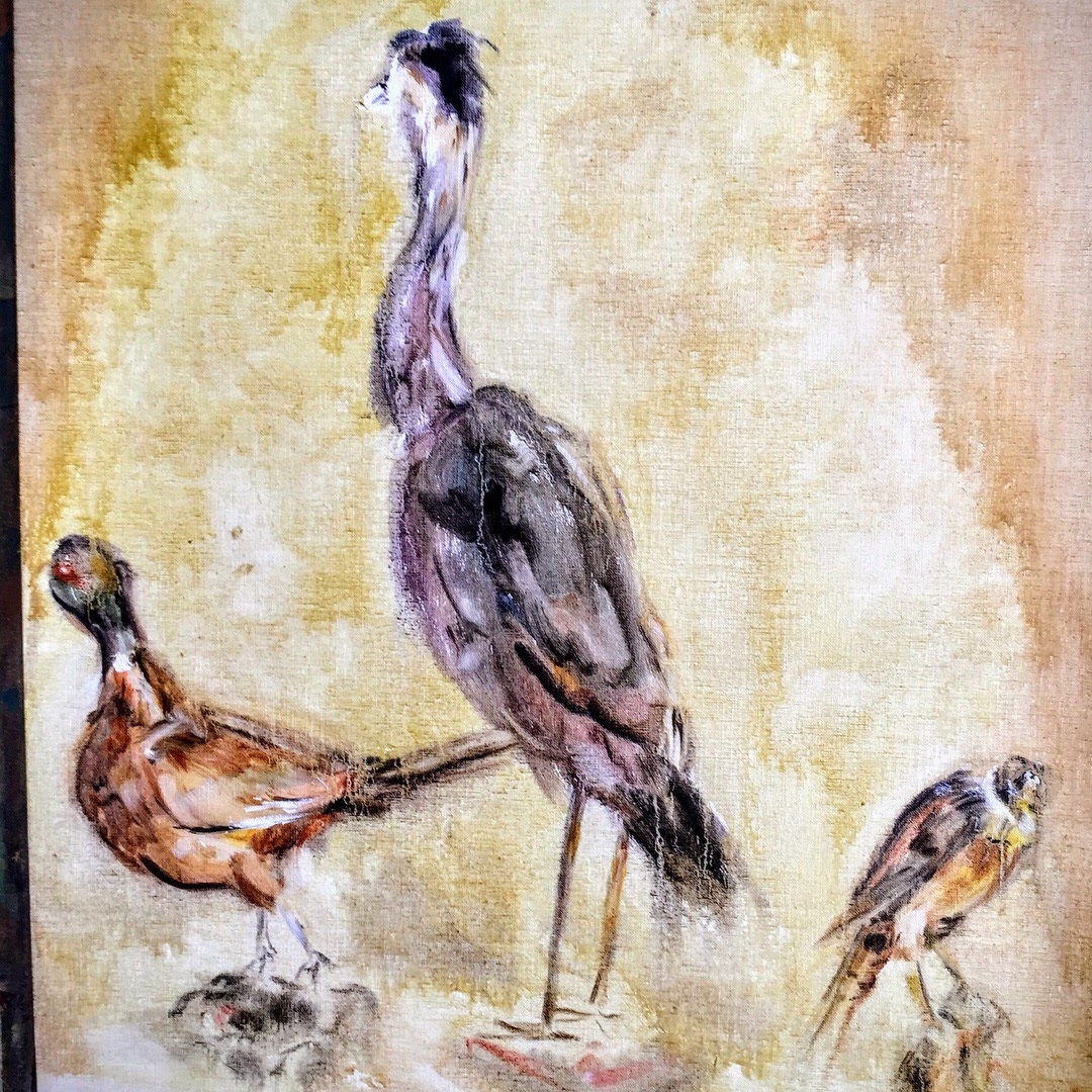 15746b58825413.5a0afadeac169.jpg : My collection of paintings