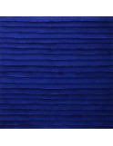 The Blue Line